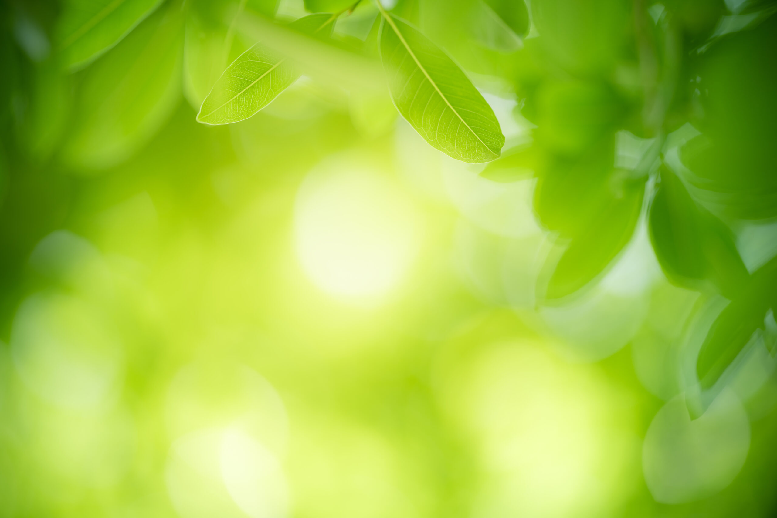 Umgang mit per- und polyflourierten Alkyl-Substanzen