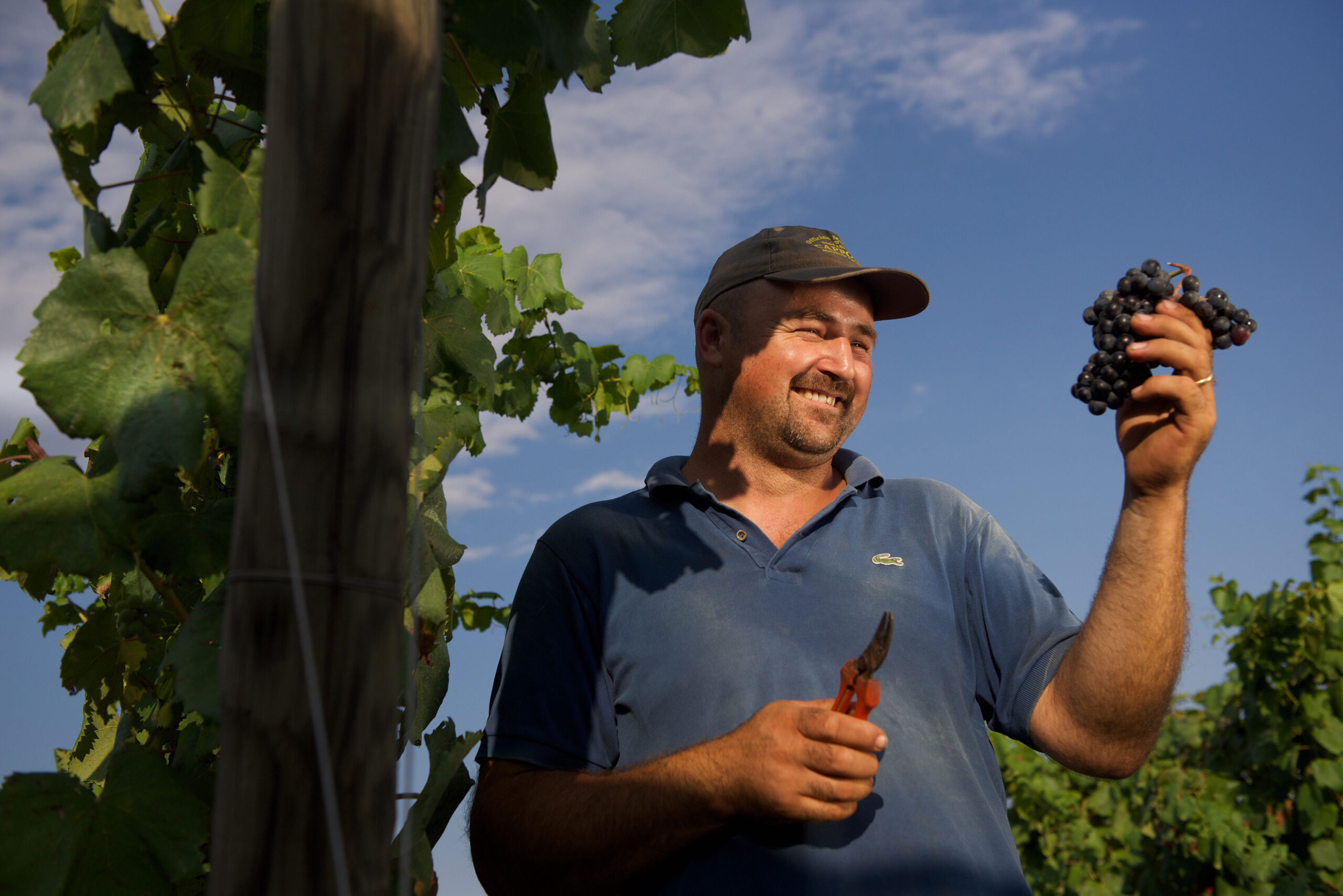 Deutsche Nachhaltigkeitsstrategie