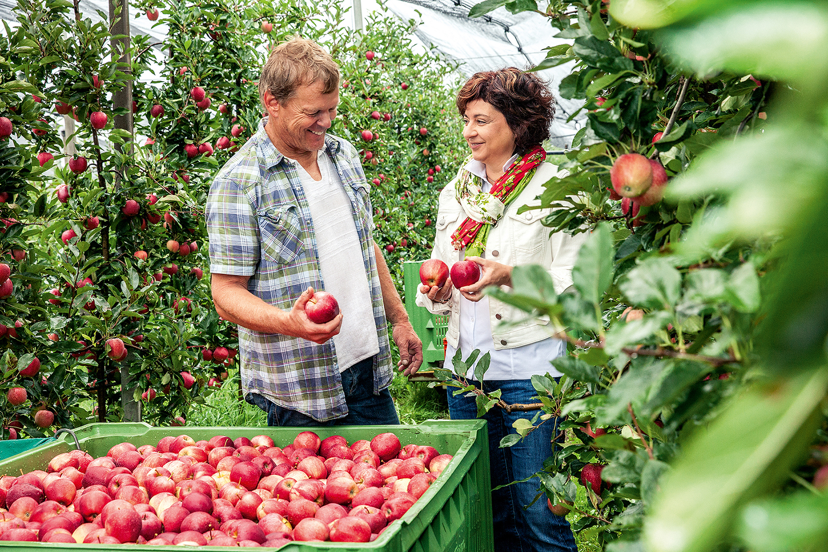 Fleisch der Zukunft?