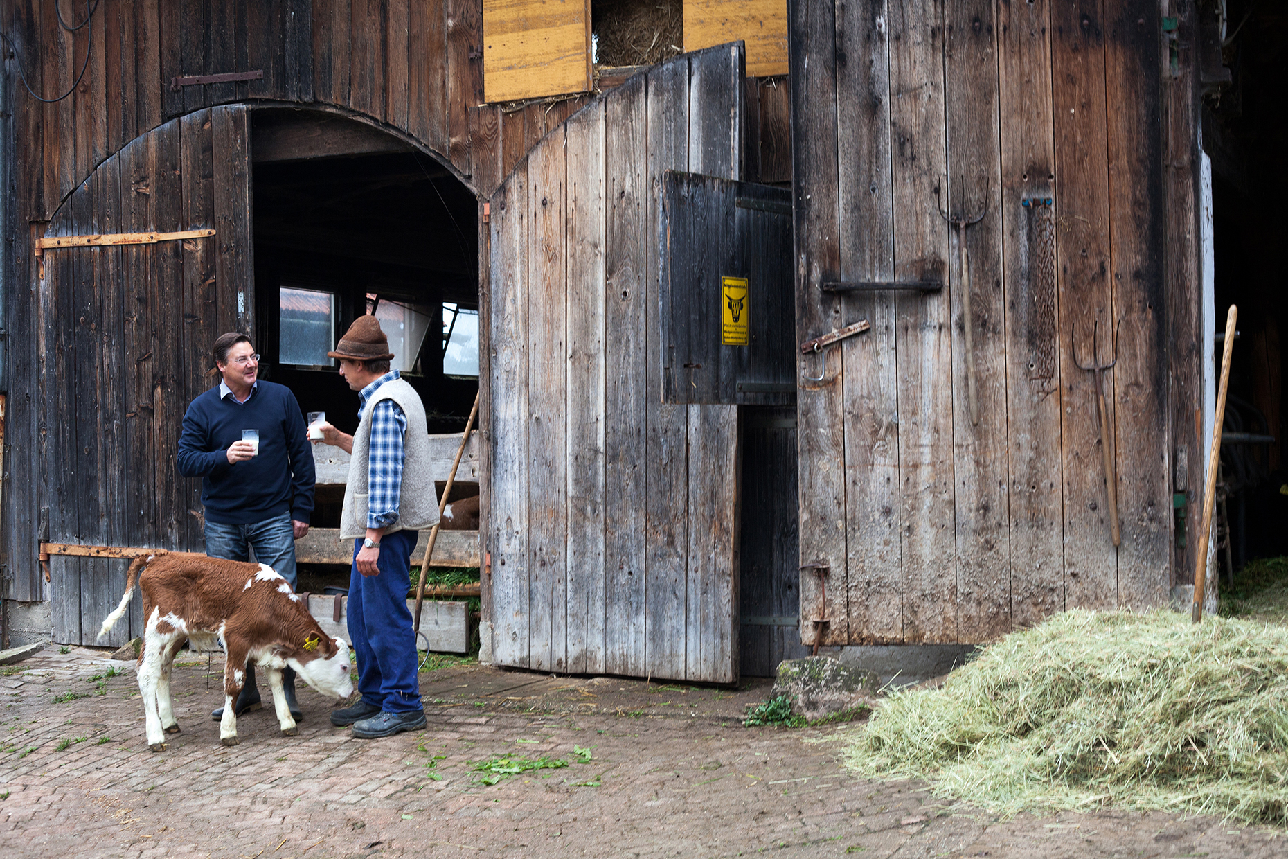 Fleisch der Zukunft?