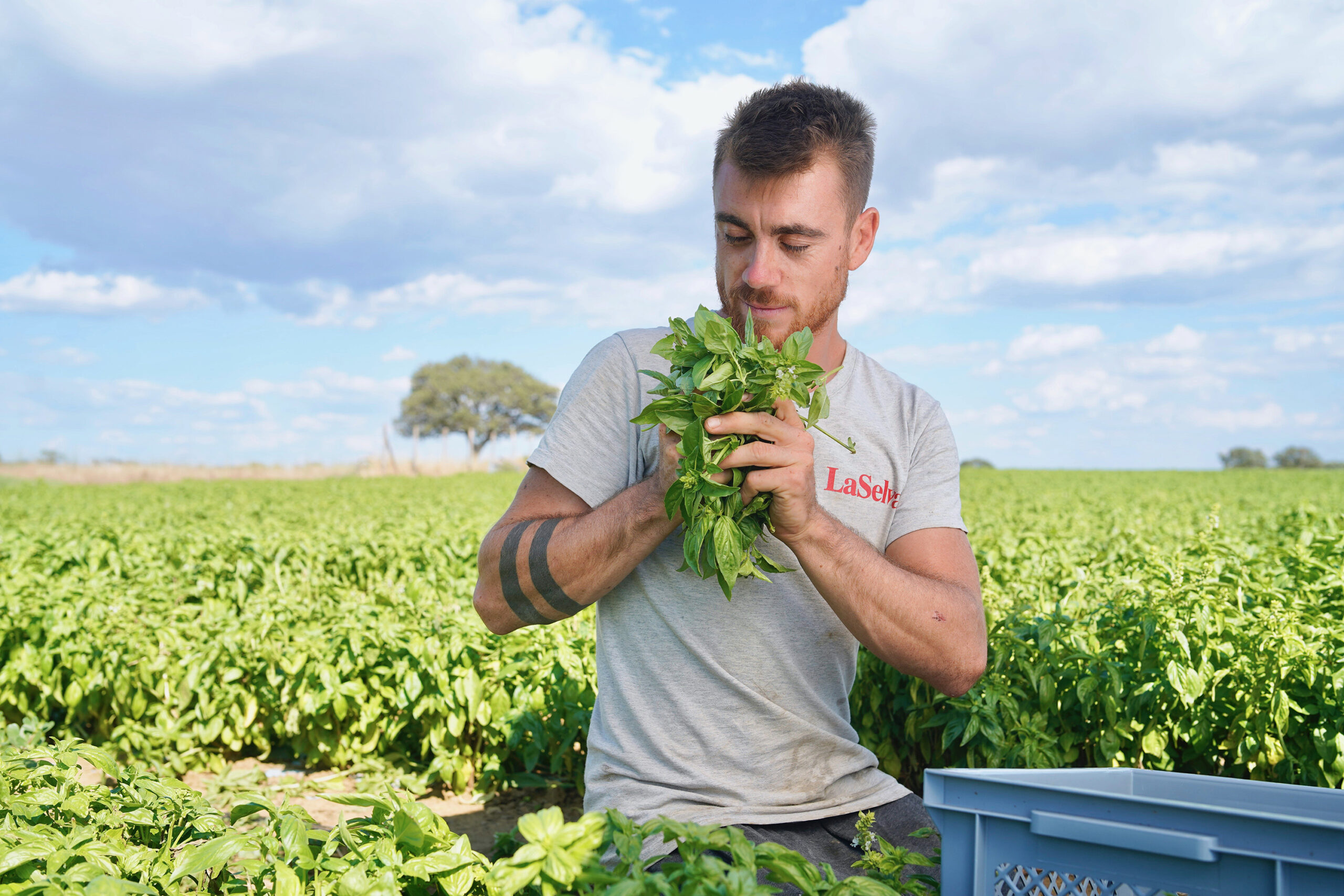 Bunt – gesund – umweltschonend