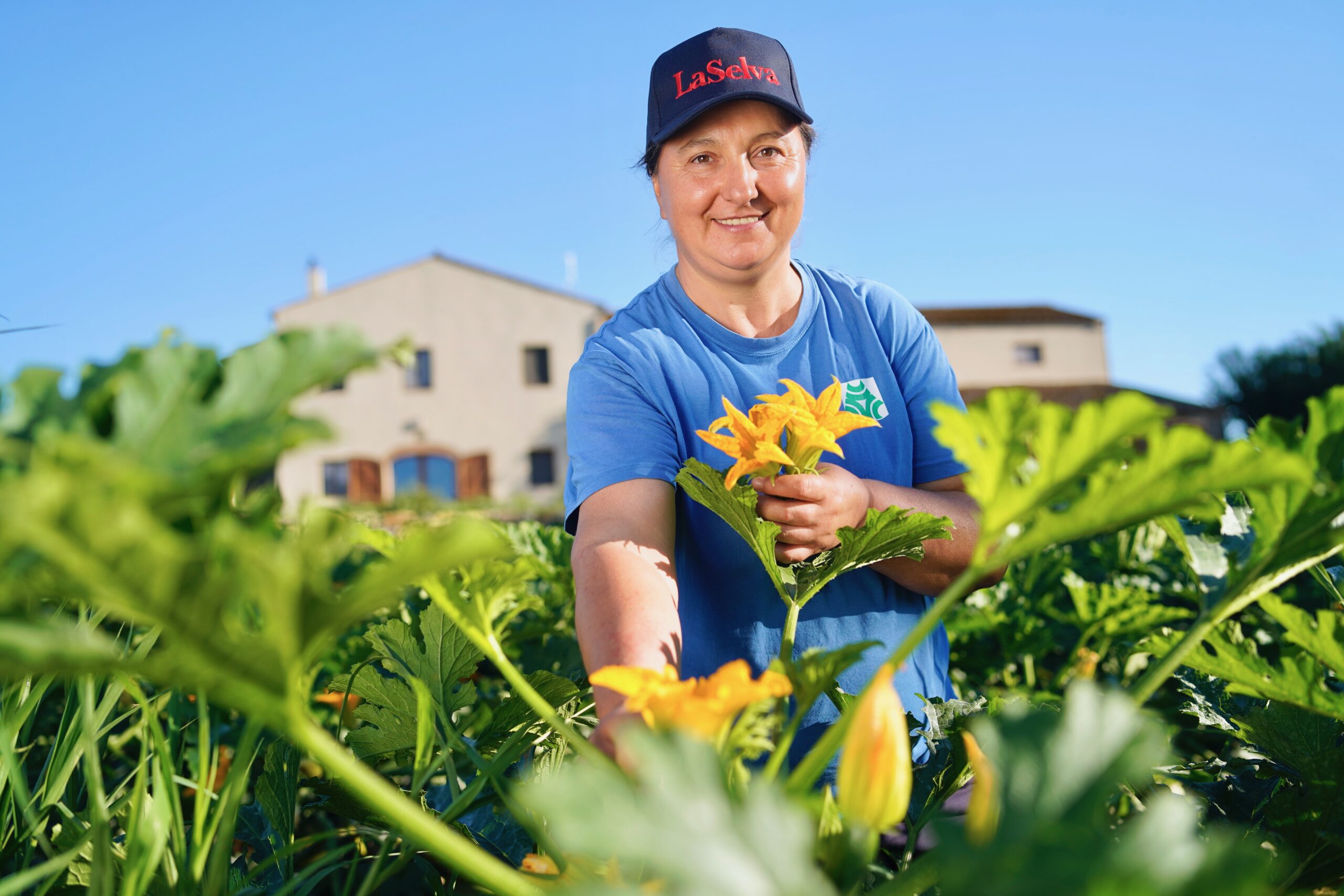 Grüner Deal und Strategie „Vom Hof auf den Tisch“