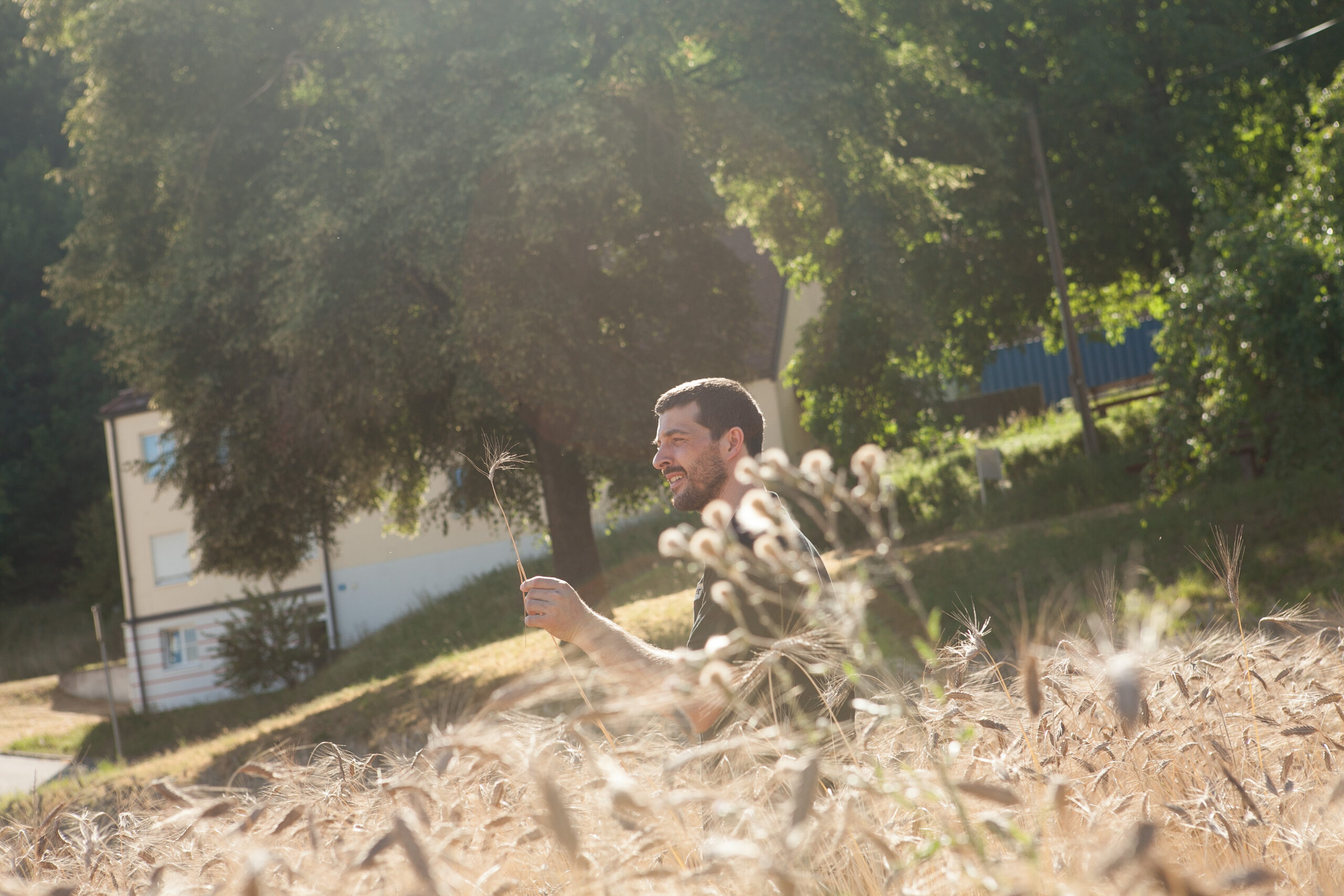 Kein Einsatz von GVO in der Landwirtschaft