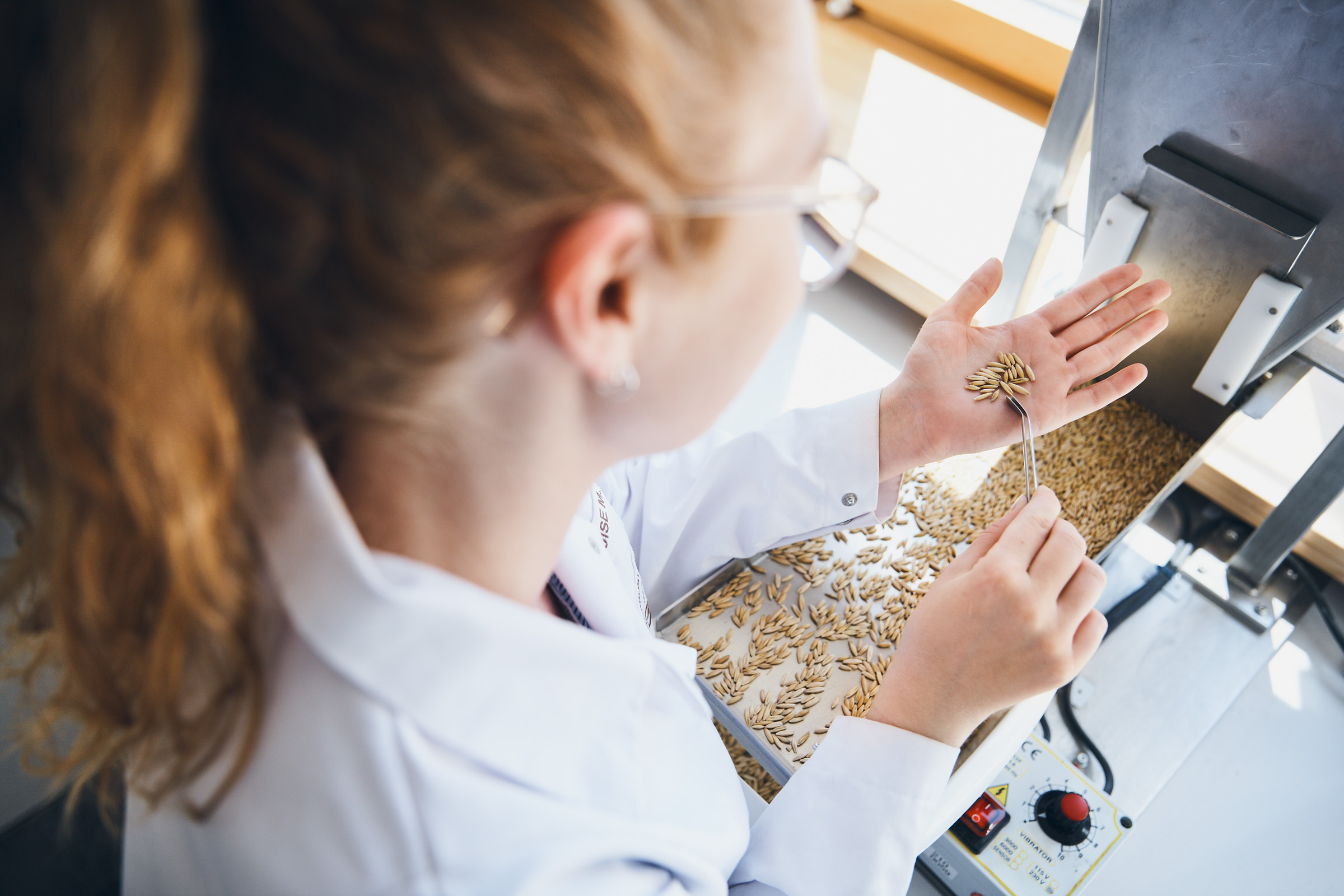 Lebensmitteltests und -rankings