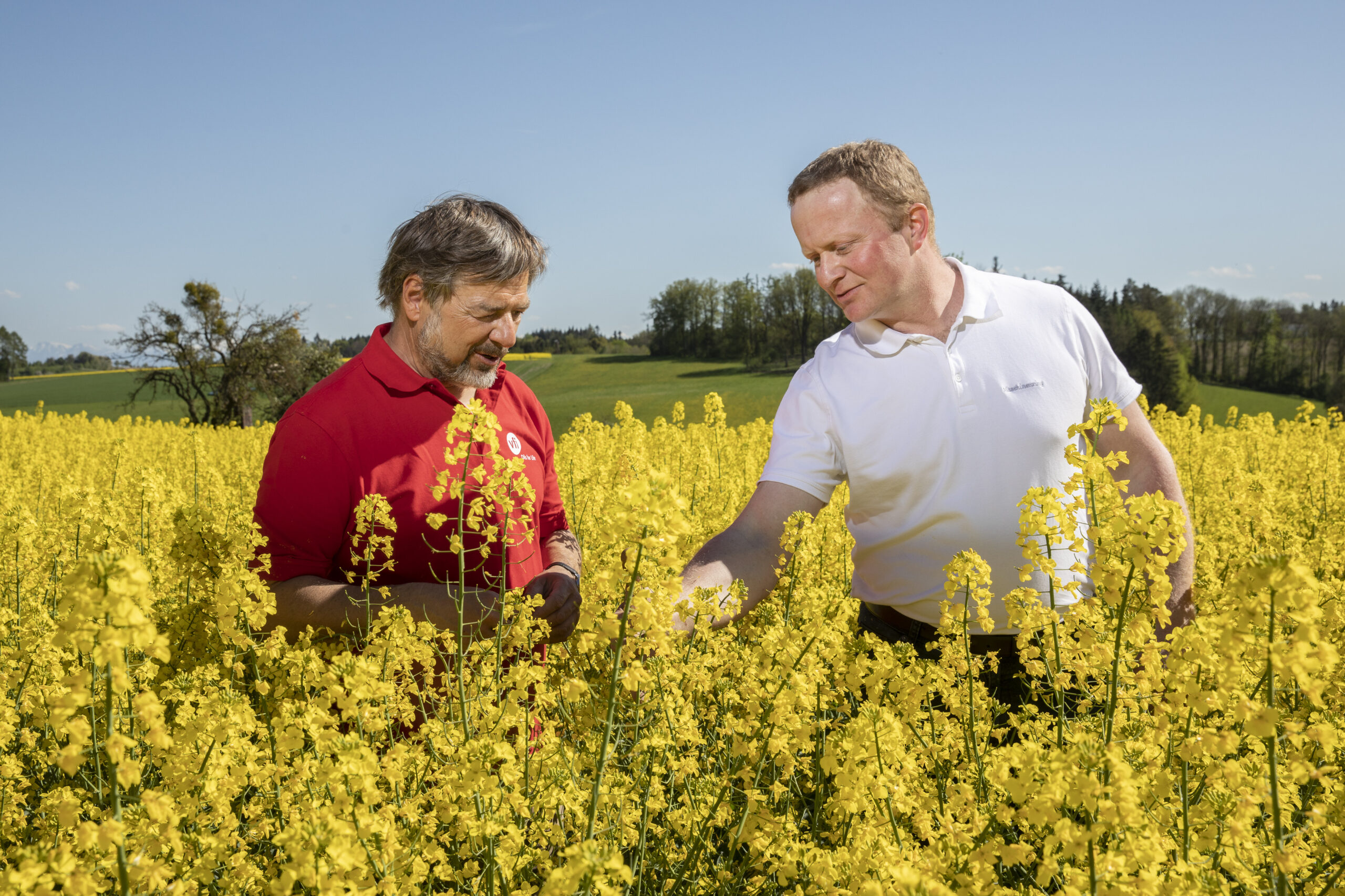 Windmühlen bauen, wenn der Wind der Wandlung weht