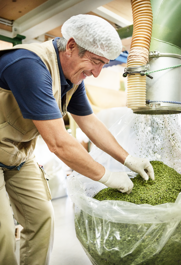 Die Evolution unserer Ernährung