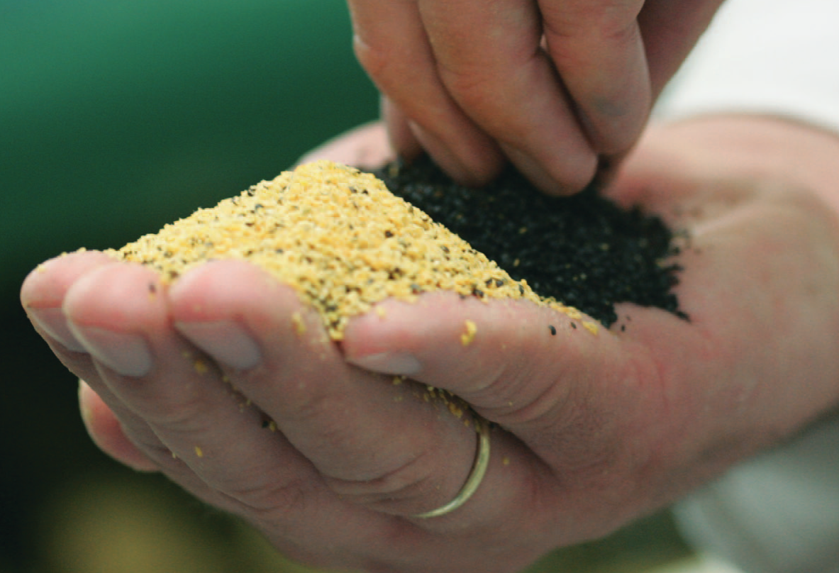 Vielfalt ernährt natürlich die Welt